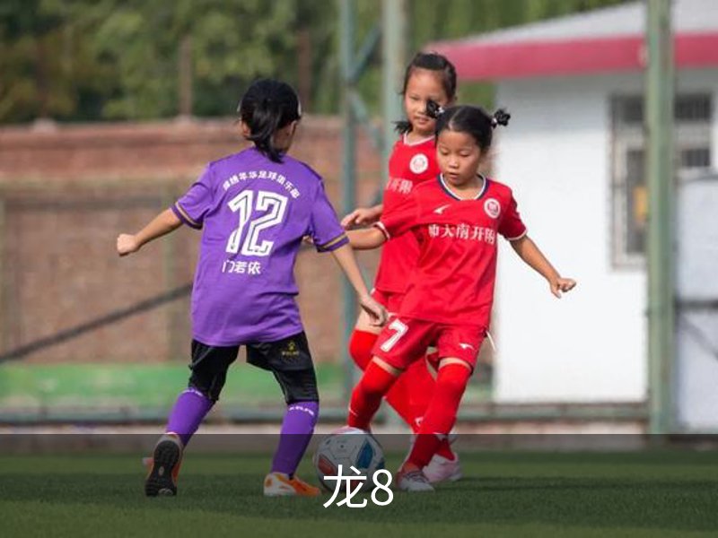了解龙8